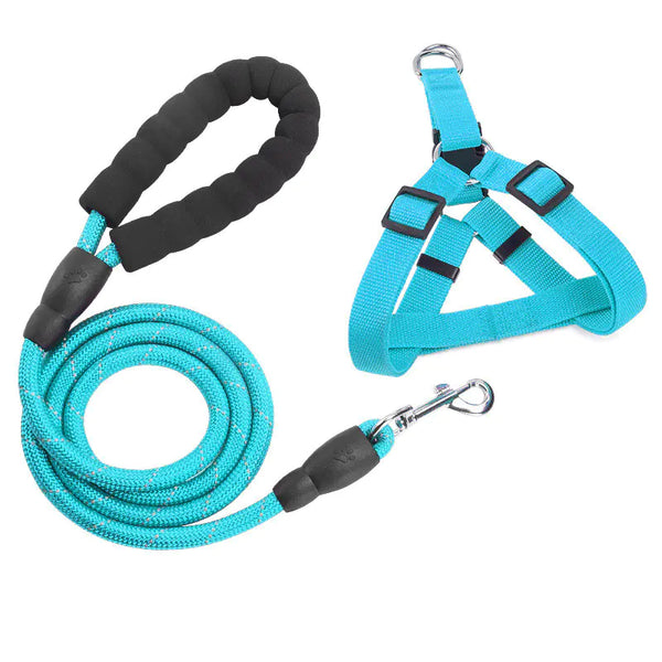 Pet Leash Collar Set | Dog Leash Collar Set | Luxelnspire